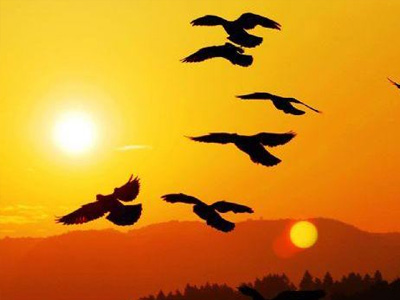 �й���ţ�����������ھŽ�ǧ��������25���ܼ���