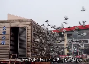�������ظ߷��� �ൺ��ʢ�ڶ��سɼ���¯