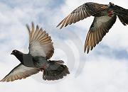 �̼���һ�������ر������ɳ��Ǿ�������