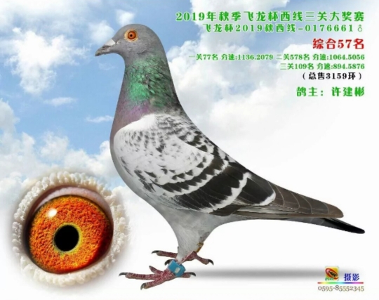 �н�̫����