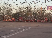 лл�㣡�Ÿ�·�ϵ�����Ц��