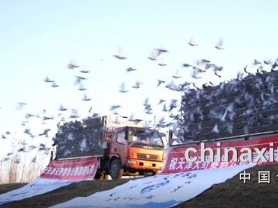 ��ѩ�ƶ� �������� ��Ұ�����ս����