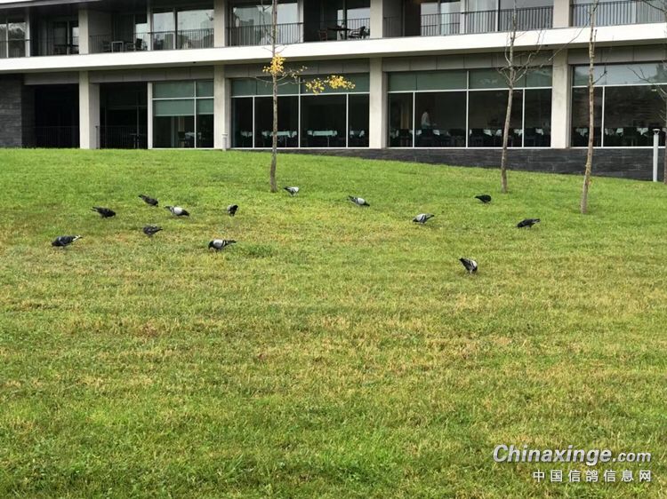 ���ٿ�������Ǯʱ �����ж��������룿