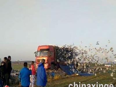 ʤ������ʱ�� �ø����ʿ���񡪡����հ���ڶ���300��������Ȧ�ɵ�