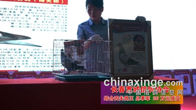 �ھ� 60�򣡿����Ÿ��ذ���ը