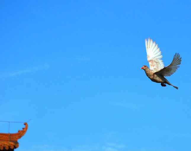 �ٹ��������