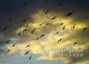 ����� ���Ʈȥ��ͼ��