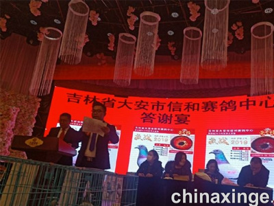 ���ִ��ź͹����������