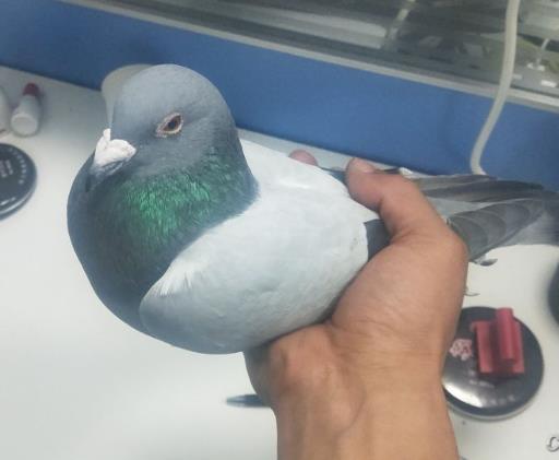 �ٹ��ΪɶҪ��Ǯ��أ�