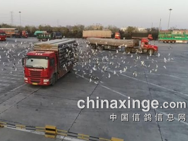 Ϊ�����Ȳ� ������ʿ��  �������ʼ��Ź���2019�＾180����ȫ��¼