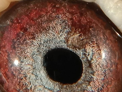 �Ҽ���һ�� �۾�������