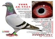 �����Ǳ�����ֱ��ڶ���������9��