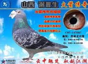 ��ɽ��л���������������д������Ĵ���֮���������ϻ��667