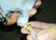 �����������������ܽ᣺�������ཻ֯�ı���