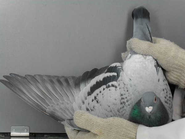 �����ٷְٽ���������ǿ���ٴ��Ѽ�