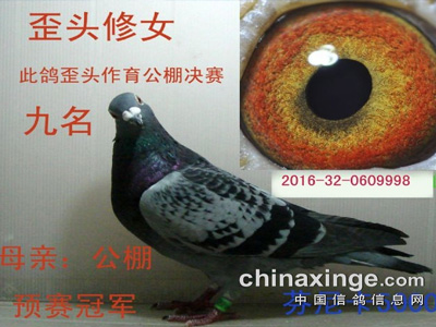 ��ͷ��Ů���Ѹ루ͼ��