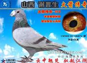 ��ɽ��л���������������д������Ĵ���֮���������Ϻ��072