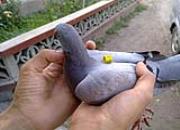 ����������ô������������������