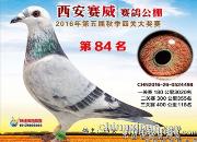 ʫ��һ�ף�����