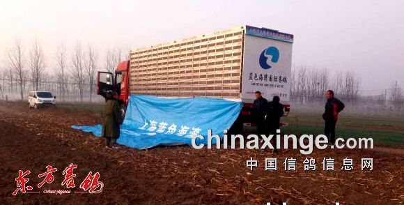 ��Խ������ ��ʿЦ���������Ϻ���ɫ���������ɢ��