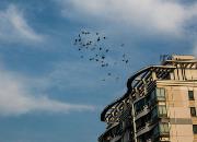 ����ù���塱һ��ĸ���