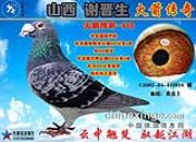 ��ɽ��л���������������д������Ĵ���֮��������ɣ��ʿ916