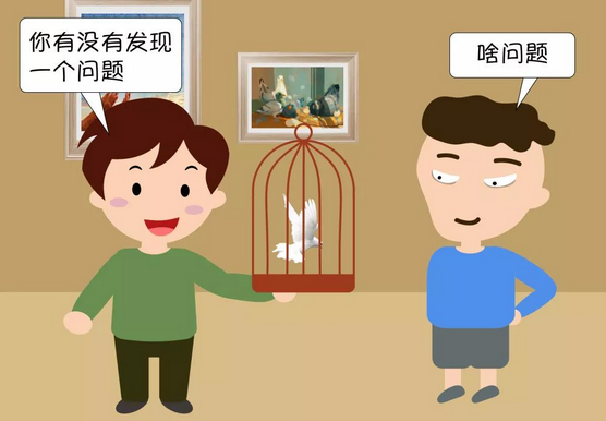 检察连环画：高贵的信鸽不是你想偷就能偷的