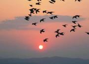 �ϸ��ѿ����⣺����ӡ����ء��������