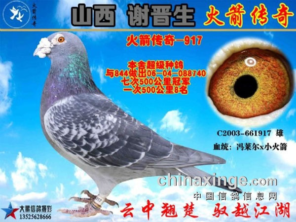 ��ɽ��л���������������д������Ĵ���֮�������������917