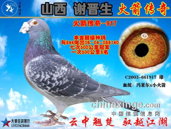 ��ɽ��л���������������д�����һ��  �Ĵ��գ��ھ����������