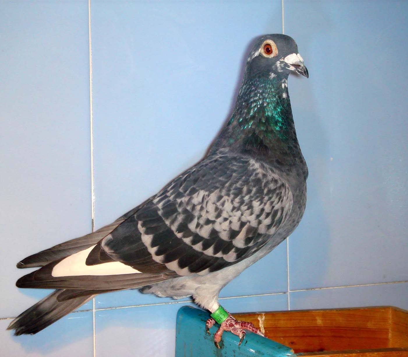 ʵս����Ӳ����