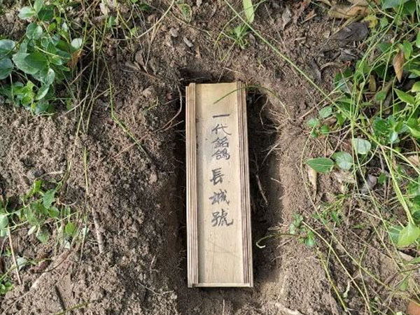 �����ҵİ��롰���Ǻš�