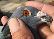 ����ʡ�����걭�������ɼ����� �ھ�����1461