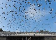 ����˲�䣺������2019��11�¾���ͼƬ