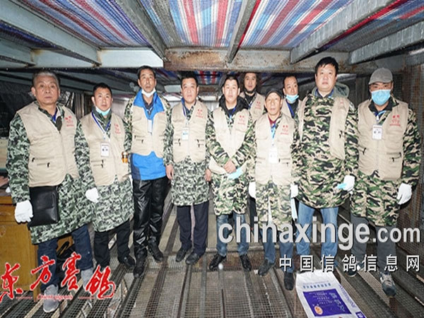 �ø�������ʺ� ʮ�깫���ʤ����������ƽ������500��������߹鳲���ѻ�