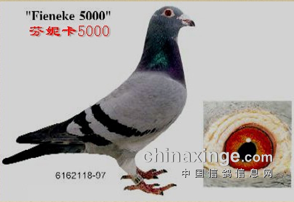 �����������루ͼƬ��