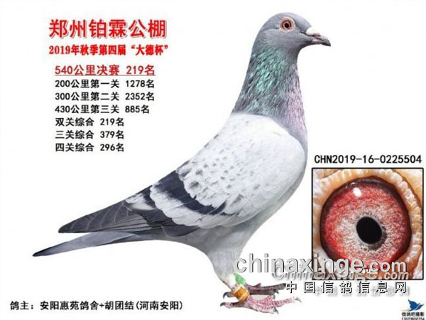 һ������ ���ִ���