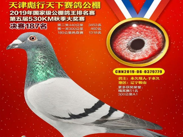 ���������ֺ�� ƽ���չ�