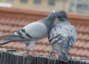 ������򣺽�̤ʵ�� �ս����ϸ߷�