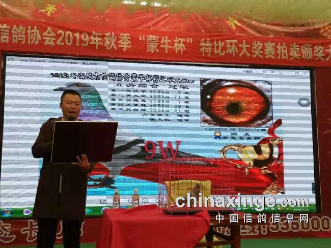 ���Ǹ������ܹھ�����9��Ԫ�ĸ߼ۣ�