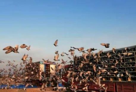 �������������׹����л���ҵ-֣�㻪��ڣ�ͼ��