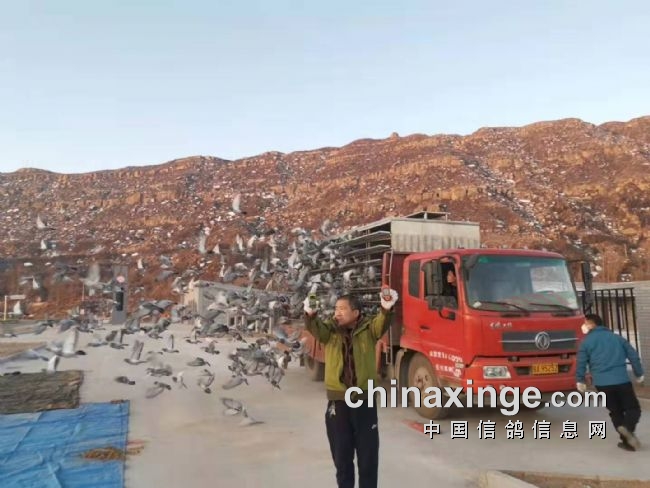 �������������ս���죡������̹��������մ��