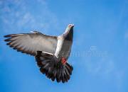 ���������͹����������������Ӯ