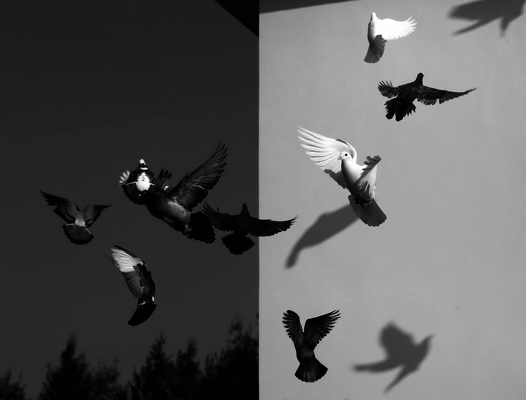 û�н�����ӱ��˻���