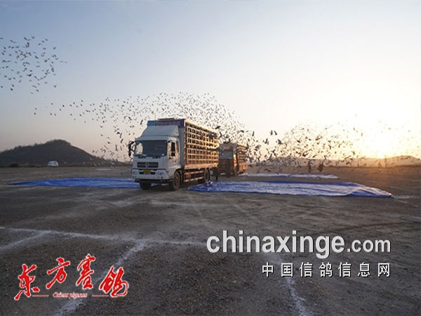 ��·˪�쿼����ǧ������ʿ����������������200������������