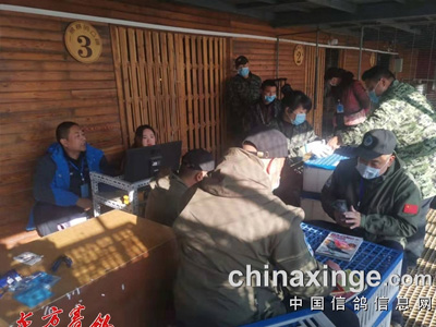 һ����Ѽ�վ ����ӻԾ���� ��������һ������550�����վ�����