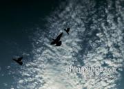 �����ɹ���ͼ��