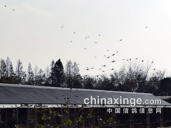 �ɰ�˲�� �����������Ϻ���ɫ����������չ���ǧ