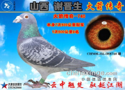 ��ɽ��л���������������д������Ĵ��ĸ֮��������514