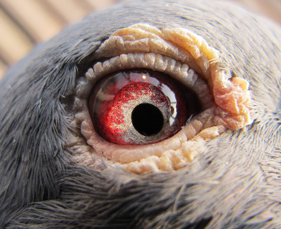 ϲ��̸�����뽻���Ŵ�֮3�����������־�������࣡